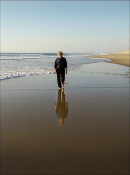 The Longing of Michael Dudok de Wit 2016 official movie poster