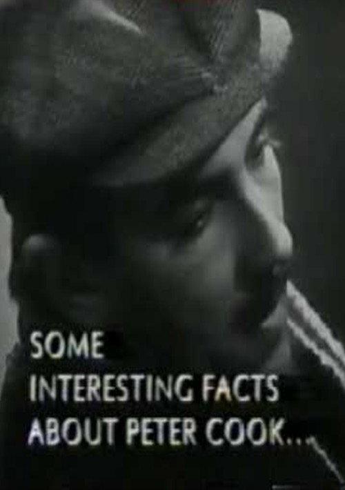 Some Interesting Facts About Peter Cook 1995 official movie poster