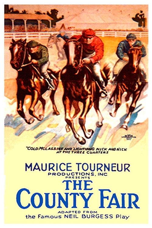 The County Fair 1920 official movie poster
