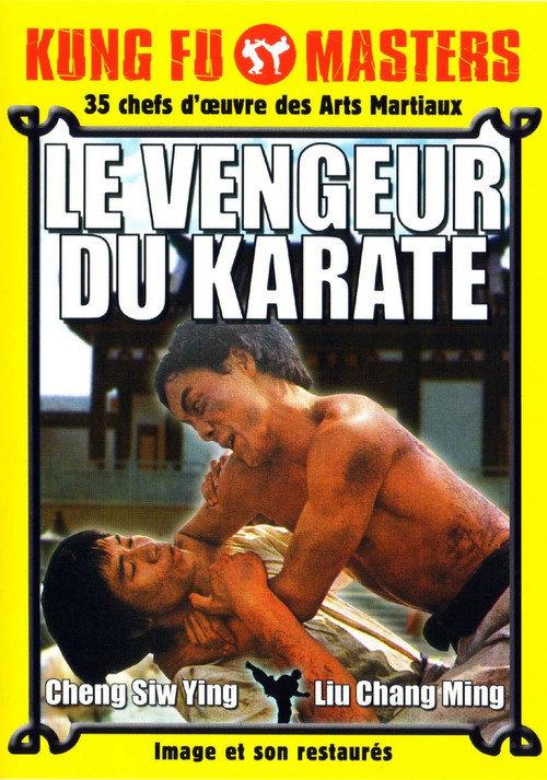 Boxer's Last Stand 1976 official movie poster