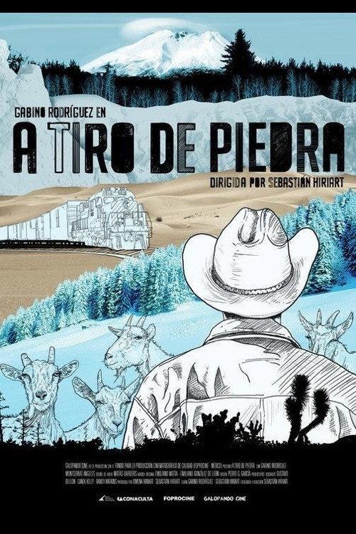 A Tiro de Piedra 2010 official movie poster