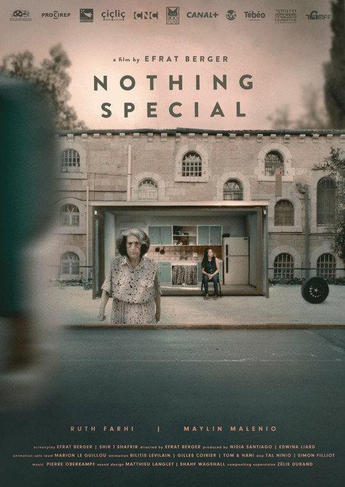 Nothing Special 2024 official movie poster