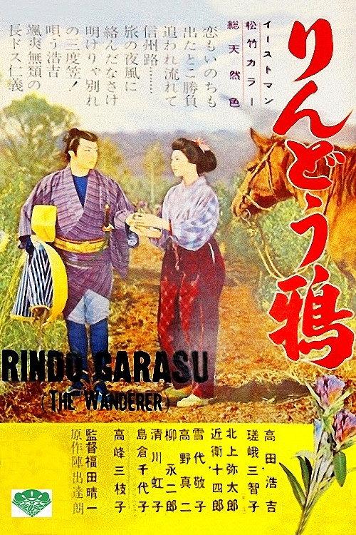 The Wanderer 1957 official movie poster