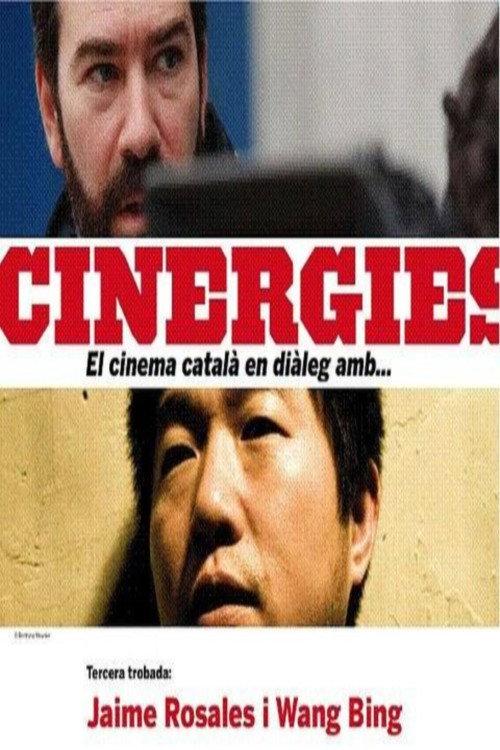 Cinematic Correspondences: Jaime Rosales - Wang Bing 2009 official movie poster