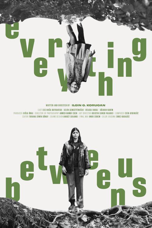 Everything Between Us 2025 official movie poster