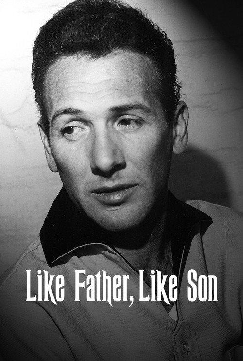 Like Father, Like Son 2009 official movie poster