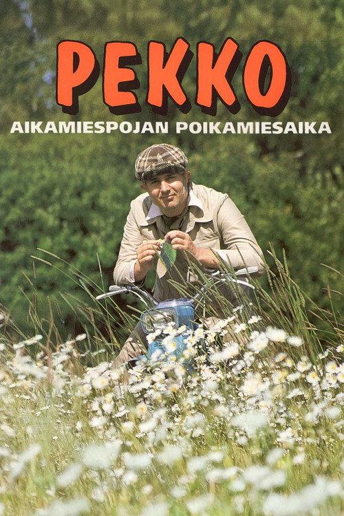 Pekko aikamiespojan poikamiesaika 1993 official movie poster