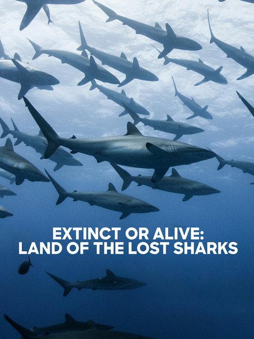 Extinct or Alive: Land of the Lost Sharks 2020 official movie poster
