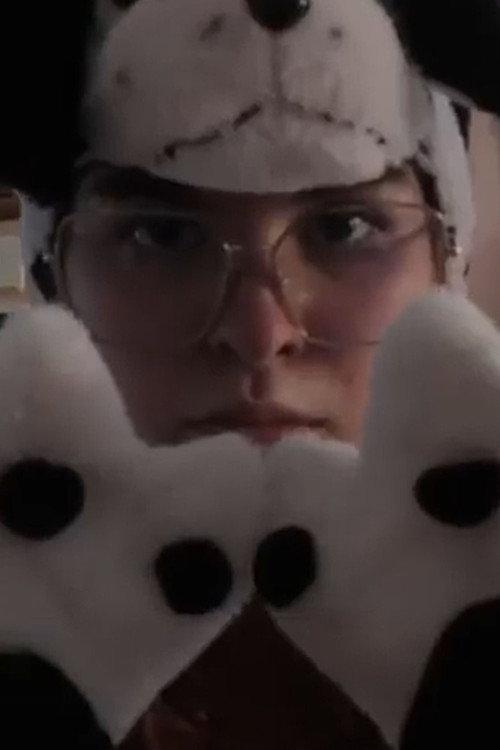 IL FURRY 2026 official movie poster