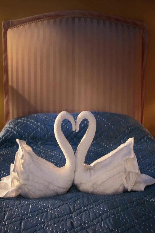 Swan Song 2014 official movie poster