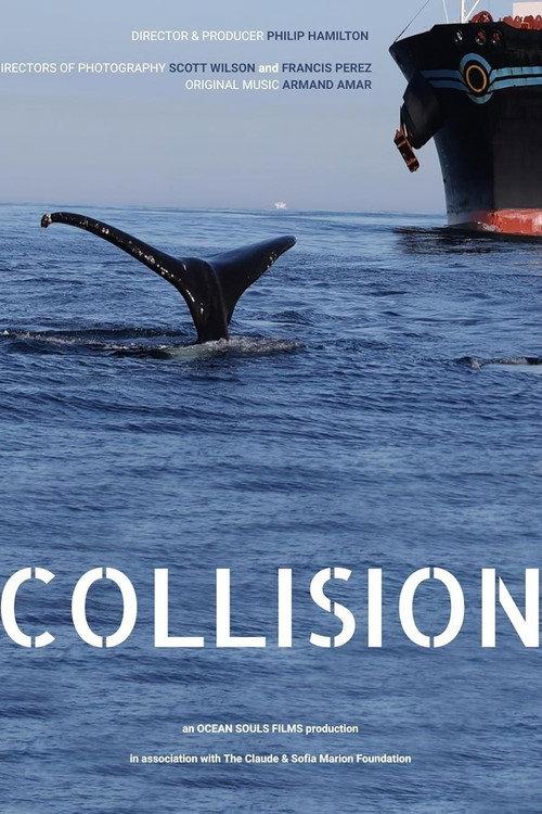Collision 2023 official movie poster