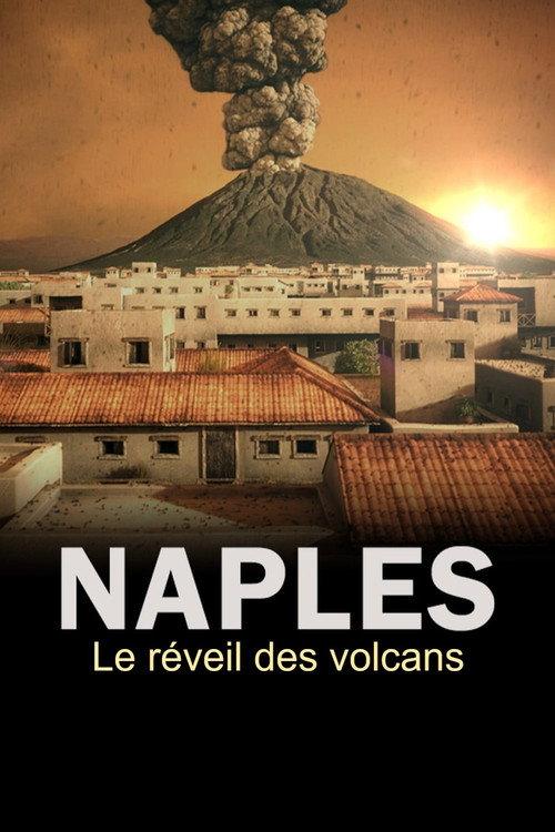 The Next Pompeii? 2019 official movie poster