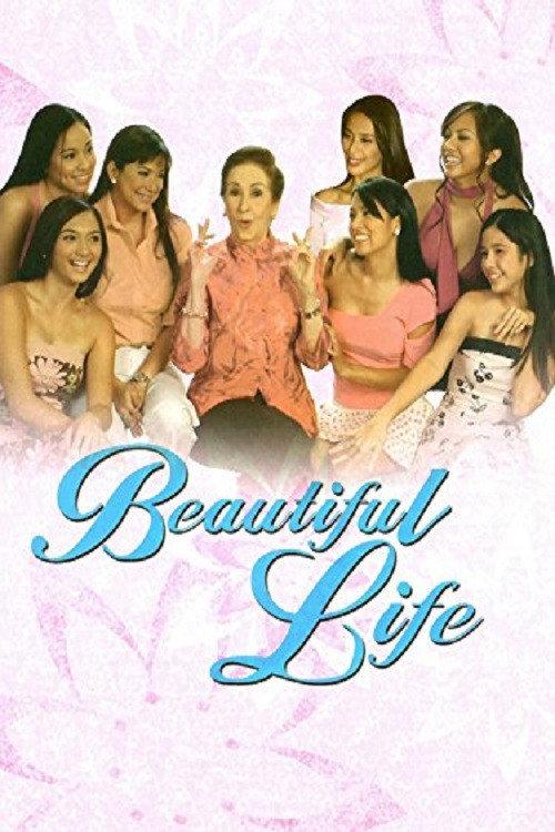 Beautiful Life 2004 official movie poster