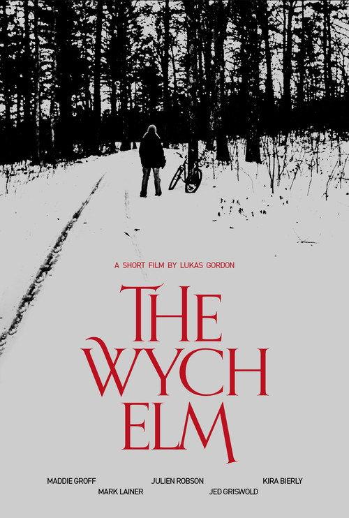 The Wych Elm 2022 official movie poster