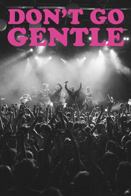 Don't Go Gentle: A Film About IDLES 2020 official movie poster