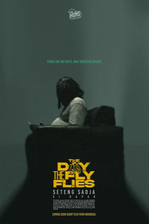 The Day The Fly Flies 2024 official movie poster