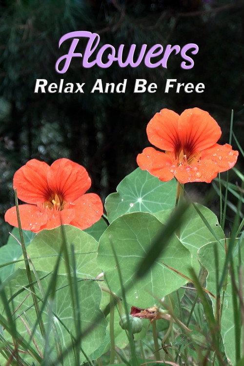 Flowers: Relax and Be Free 2014 official movie poster