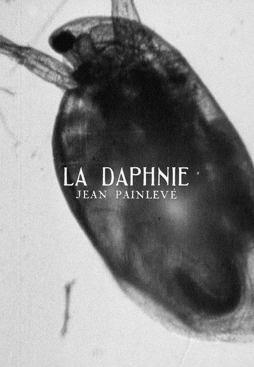 Daphnia 1928 official movie poster