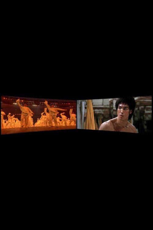 Enter the Dragon 1973-2008 2010 official movie poster