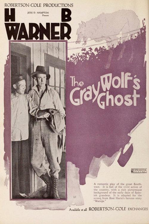 The Gray Wolf's Ghost 1919 official movie poster