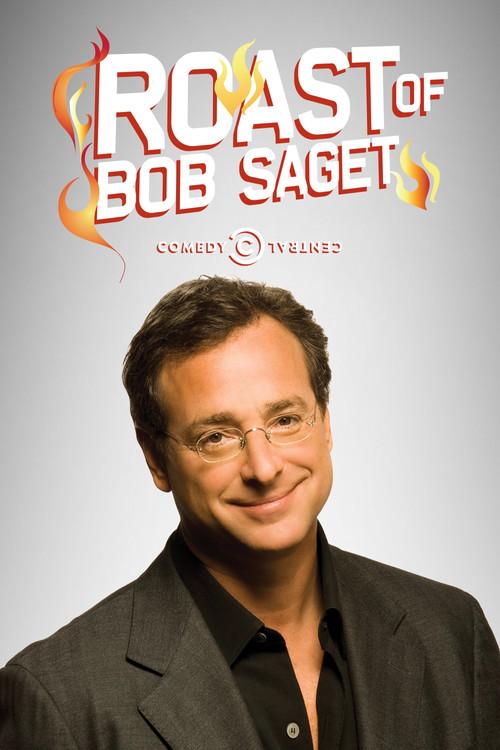 Comedy Central Roast of Bob Saget 2008 official movie poster