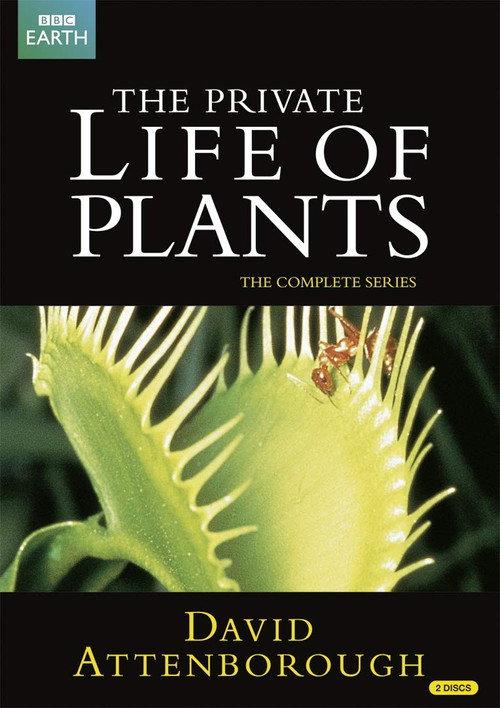 The Private Life of Plants 1995 official movie poster
