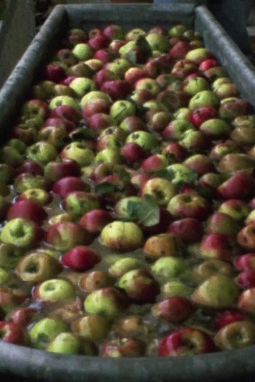 Making Apple Juice 1993 official movie poster