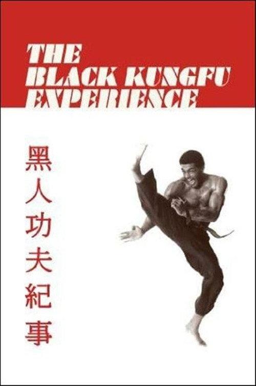 The Black Kung Fu Experience 2012 official movie poster