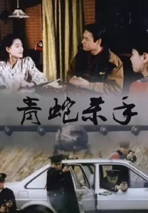 Snake Fist 1994 official movie poster