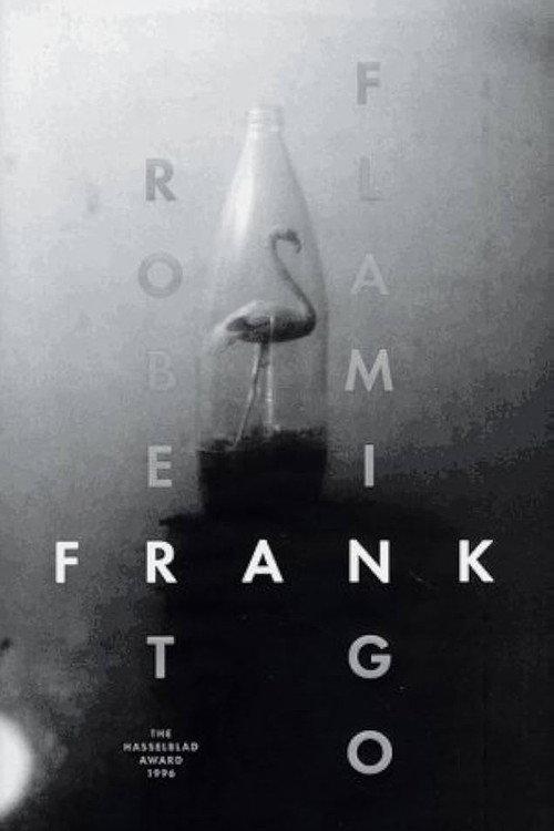 Flamingo 1996 official movie poster