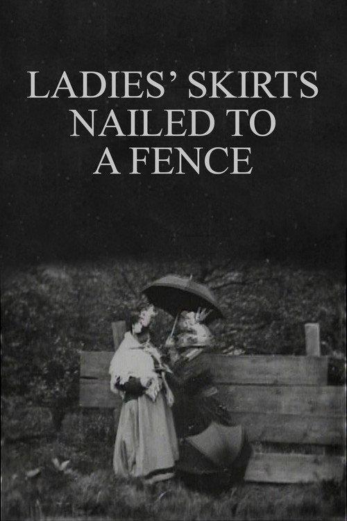Ladies' Skirts Nailed to a Fence 1899 official movie poster