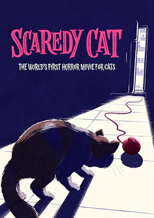 Scaredy Cat 2020 official movie poster