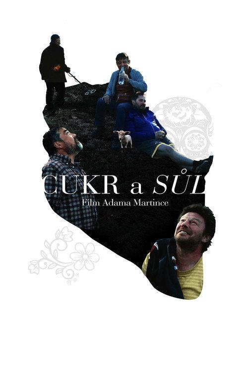 Sugar and Salt 2019 official movie poster