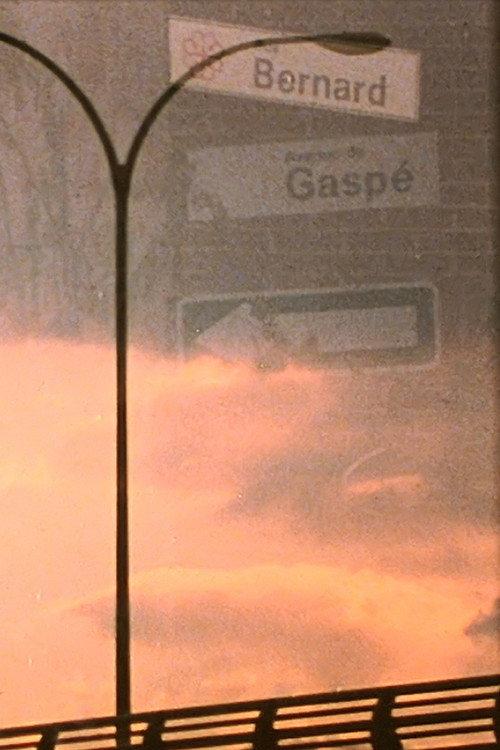 bernard gaspé 2013 official movie poster