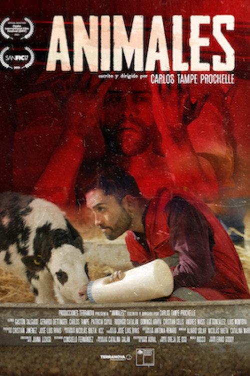 Animales 2021 official movie poster