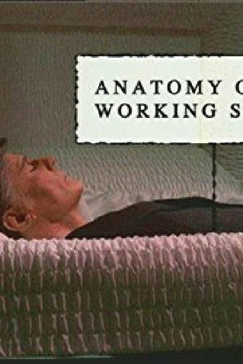 Anatomy of a Working Stiff 2004 official movie poster