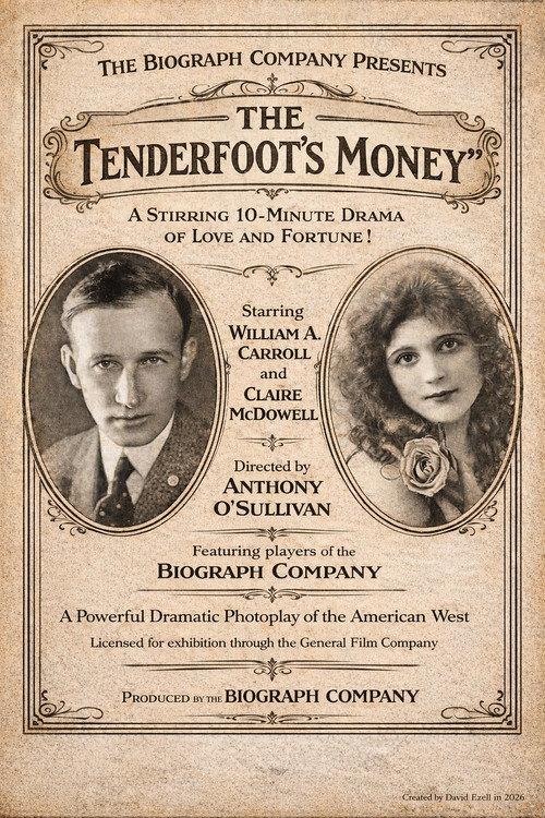 The Tenderfoot's Money 1913 official movie poster