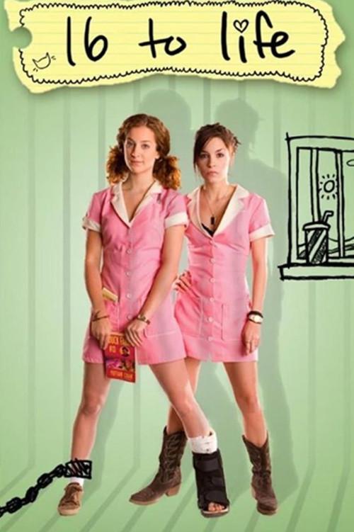 16 to Life 2009 official movie poster