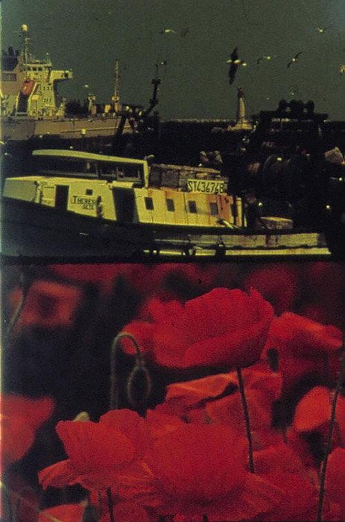Poppies and Sailboats 2001 official movie poster