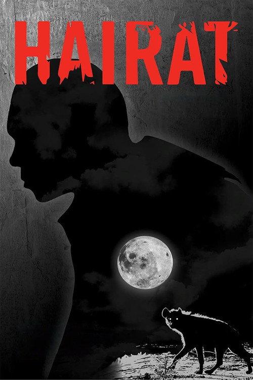 Hairat 2017 official movie poster