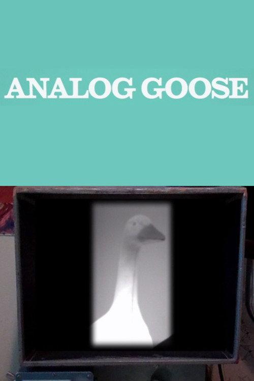 Analog Goose 2013 official movie poster