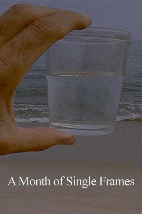 A Month of Single Frames 2019 official movie poster
