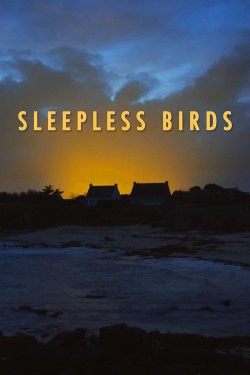 Sleepless Birds 2023 official movie poster