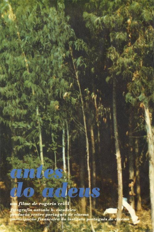 Antes do Adeus 1977 official movie poster