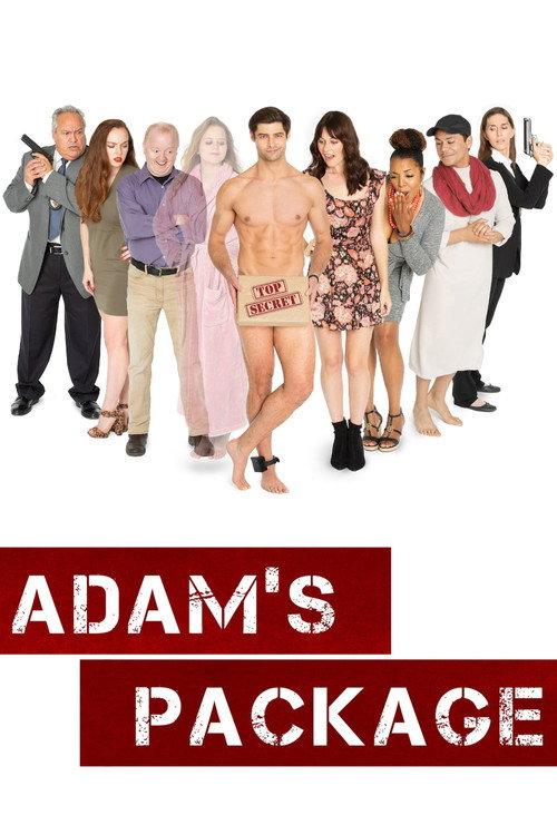 Adam's Package 2019 official movie poster