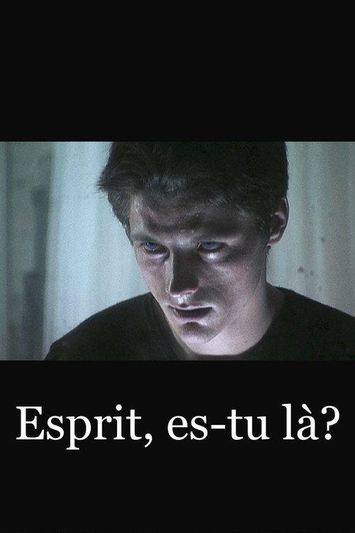 Esprit, es-tu là? 2005 official movie poster