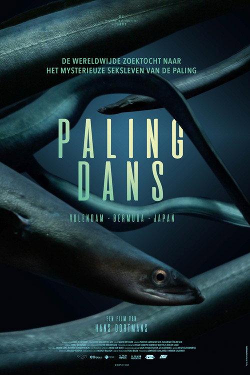 Hidden Dance of Eels 2024 official movie poster