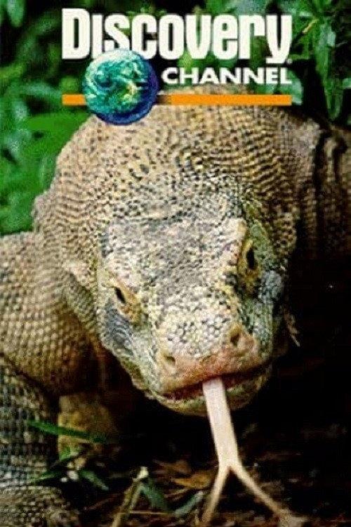 Dragons of Komodo official movie poster