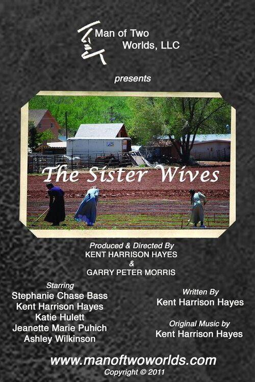 The Sister Wives 2011 official movie poster