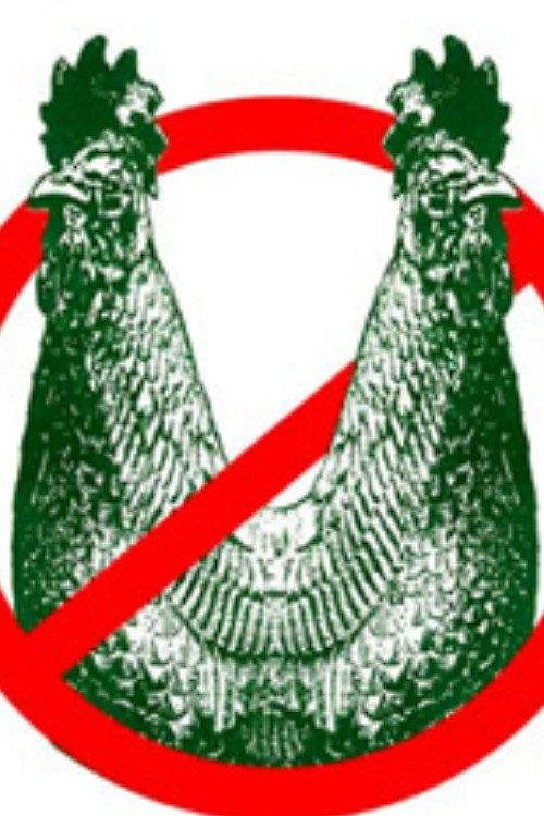 Joey Skaggs: Stop BioPEEP 2024 official movie poster